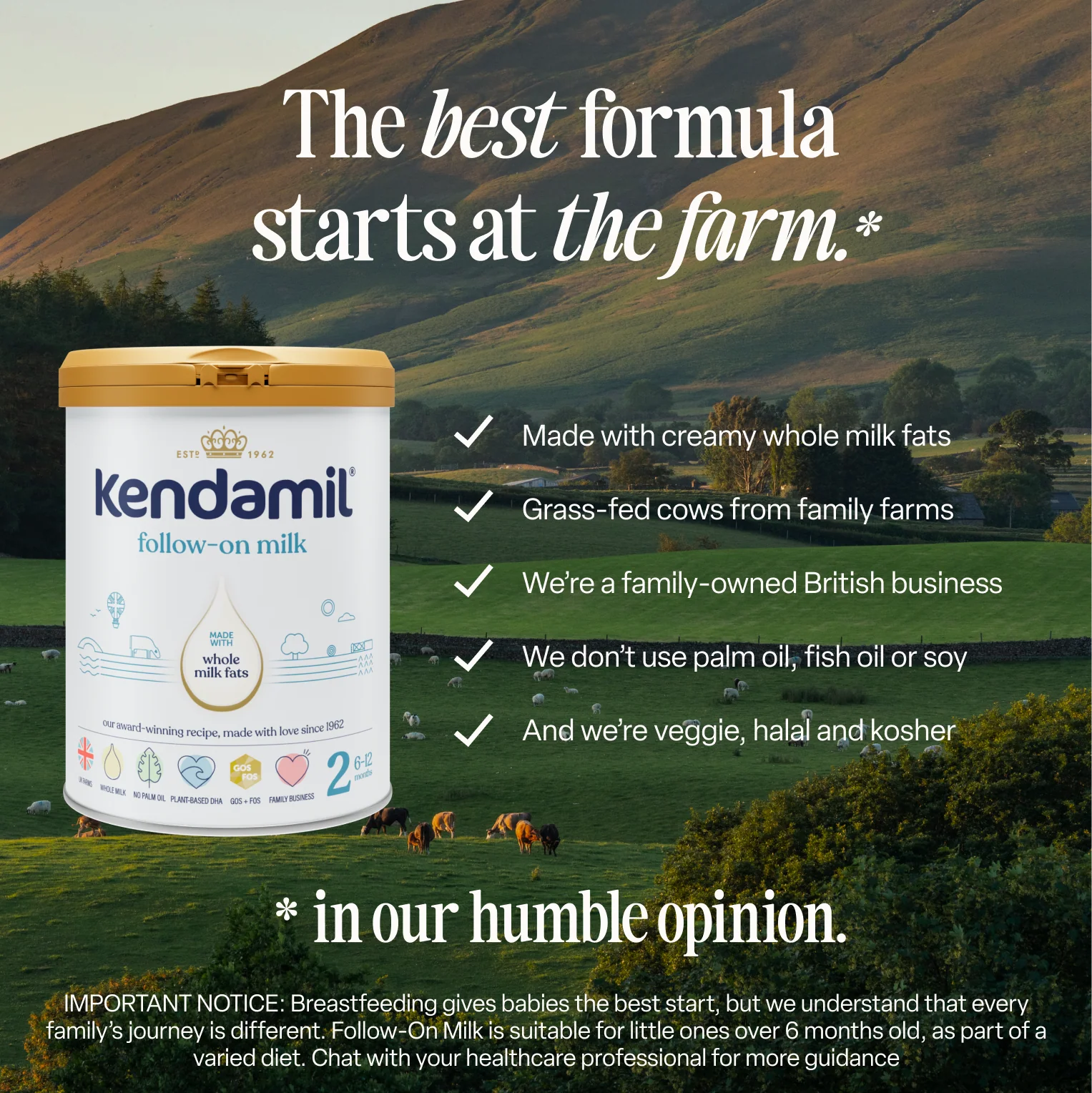 Benefits of Classic Follow On Milk