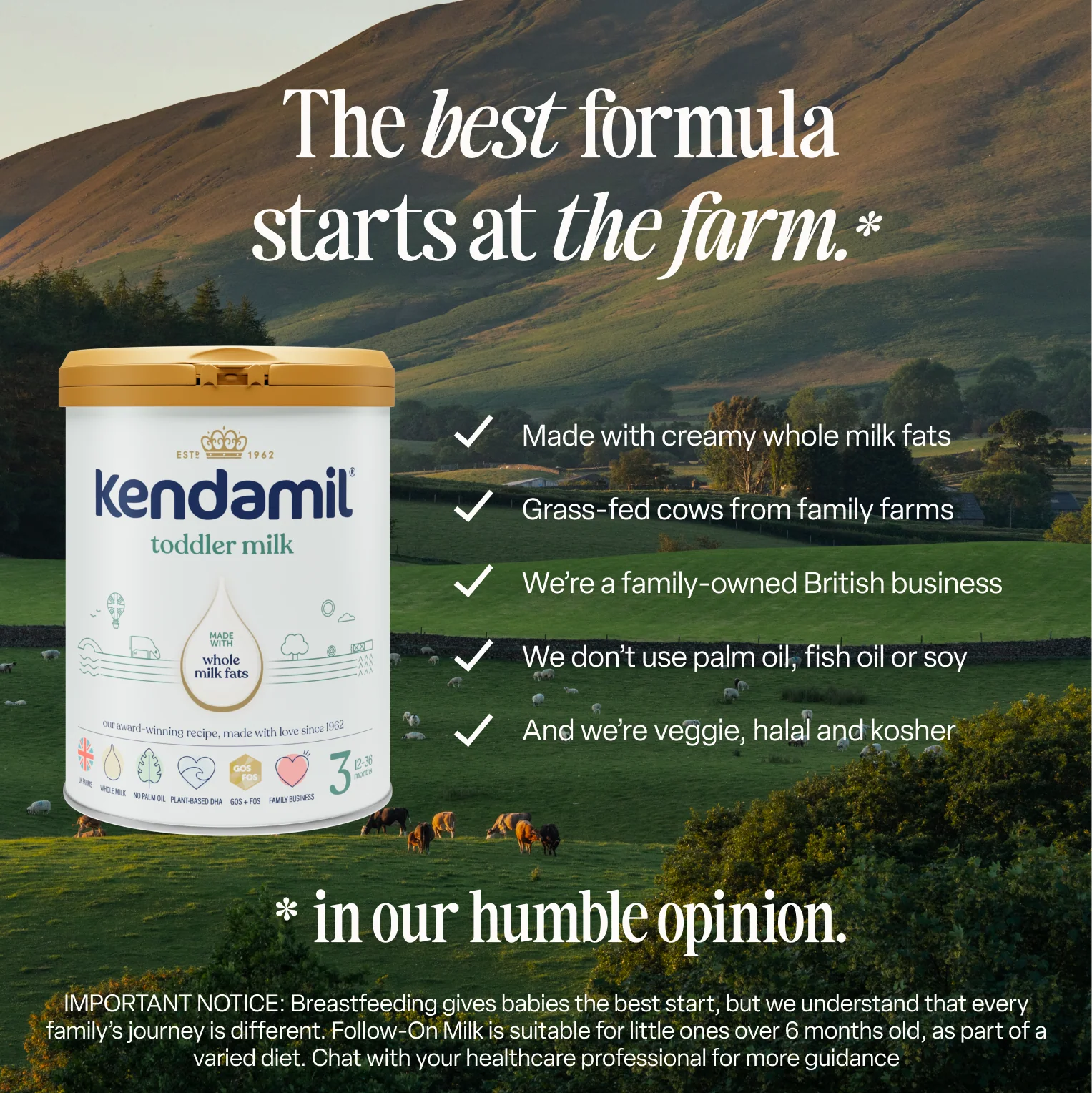 Benefits of Classic Toddler Milk