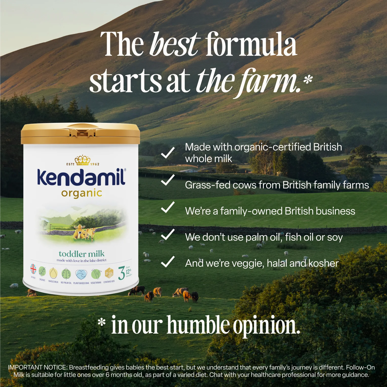 Organic Toddler Milk